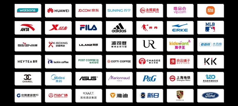 Pikaajaline strateegiline partner